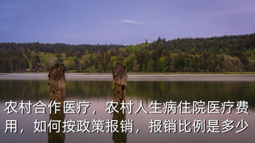 河南農(nóng)村醫(yī)療保險(xiǎn)怎么報(bào)銷比例是多少錢,農(nóng)村合作醫(yī)療