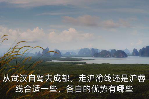 從武漢自駕去成都，走滬渝線還是滬蓉線合適一些，各自的優勢有哪些