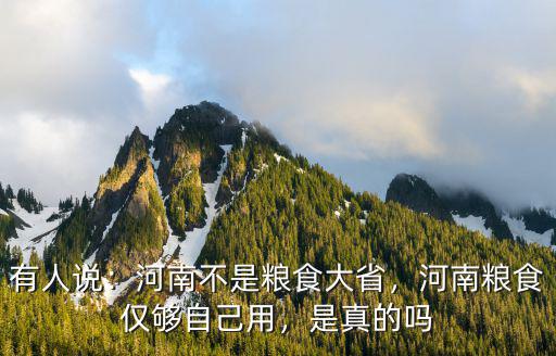 河南每年向外地輸出多少糧食,那河南產的糧食到底有多少