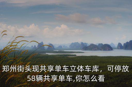 鄭州路邊的共享單車怎么用,鄭州街頭現(xiàn)共享單車立體車庫