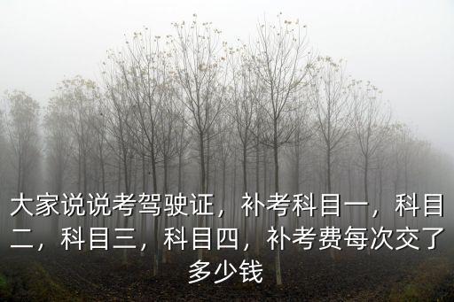 商丘駕駛證補考費多少,補考費每次交了多少錢