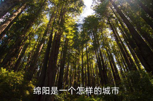 綿陽城區附近哪里有賣絕味的,綿陽有哪些有名的鹵菜