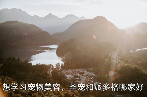 圣寵寵物(商丘夏邑縣店)怎么樣,圣寵寵物美容學校怎么樣