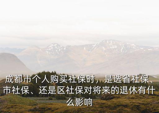 成都哪里買個人社保,成都個人社保在哪兒繳費(fèi)