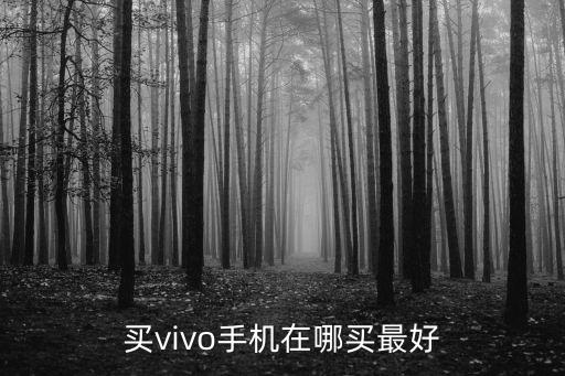 自貢哪里買vivo手機最便宜,vivoz5x在哪買最便宜