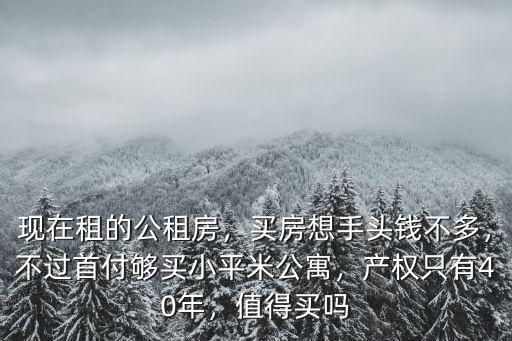 現(xiàn)在租的公租房，買房想手頭錢不多，不過首付夠買小平米公寓，產(chǎn)權只有40年，值得買嗎