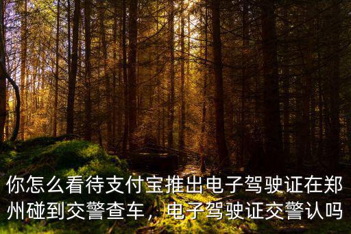 你怎么看待支付寶推出電子駕駛證在鄭州碰到交警查車，電子駕駛證交警認嗎