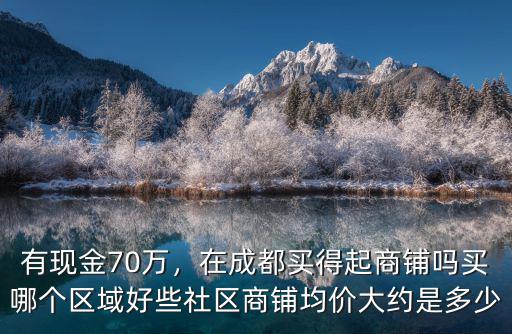 在成都哪里買商鋪最好,買哪個區域好些