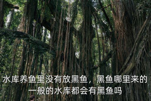 水庫養(yǎng)魚里沒有放黑魚，黑魚哪里來的一般的水庫都會有黑魚嗎