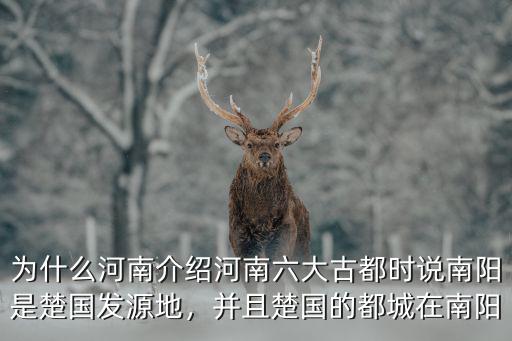 河南南陽德源是哪里,南陽張姓祖上是哪里的