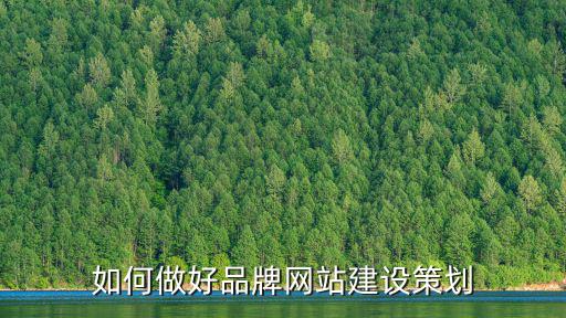 巴中網站建設制作策劃哪里好,哪家企業制作網站好
