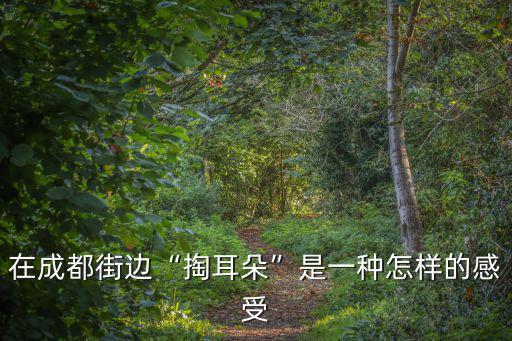 成都哪里適合看川劇掏耳朵,成都哪些地方掏耳朵服務最好