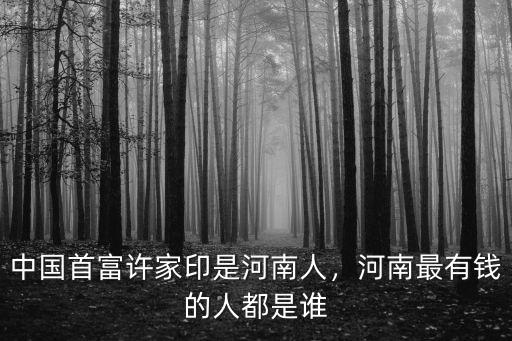 中國首富許家印是河南人，河南最有錢的人都是誰