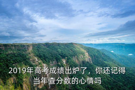 2019年河南高考怎么查分,2019年河南理科生