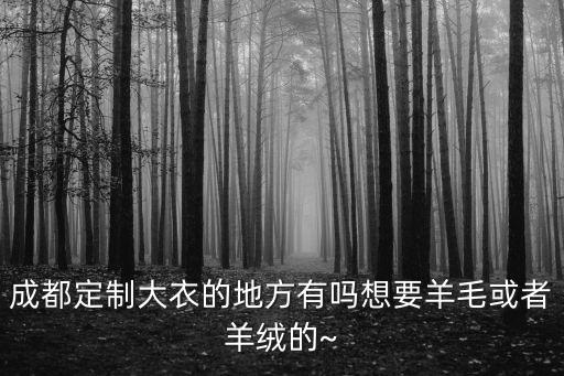 成都定制大衣的地方有嗎想要羊毛或者羊絨的~