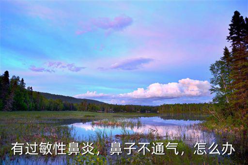 有過敏性鼻炎，鼻子不通氣，怎么辦