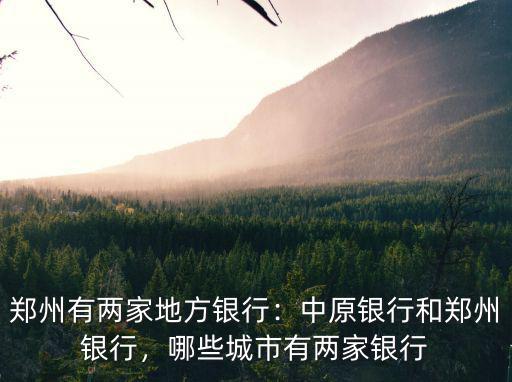 鄭州銀行位置哪里有,鄭州有兩家地方銀行