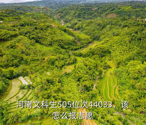 河南文科生505位次44033，該怎么報志愿