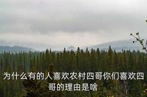 為什么有的人喜歡農(nóng)村四哥你們喜歡四哥的理由是啥