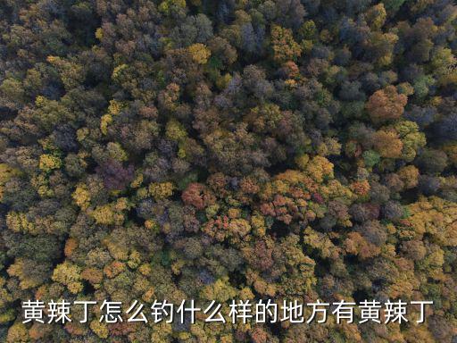 黃辣丁怎么釣什么樣的地方有黃辣丁