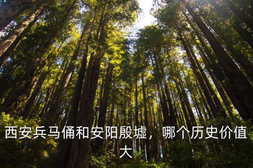 安陽殷墟多少年歷史,西安兵馬俑和安陽殷墟