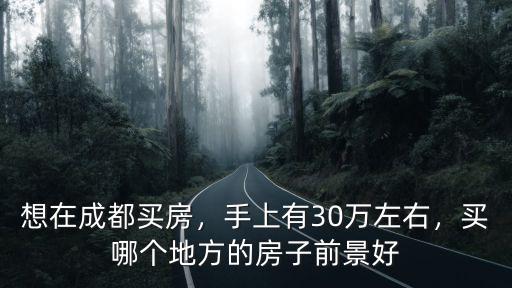 想在成都買房，手上有30萬左右，買哪個地方的房子前景好