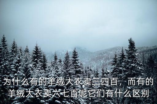 成都羊絨大衣哪里有賣,為什么有的羊絨大衣賣三四百
