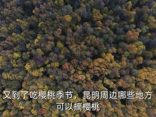 廣元這幾天在哪里摘櫻桃,快到摘櫻桃的季節了