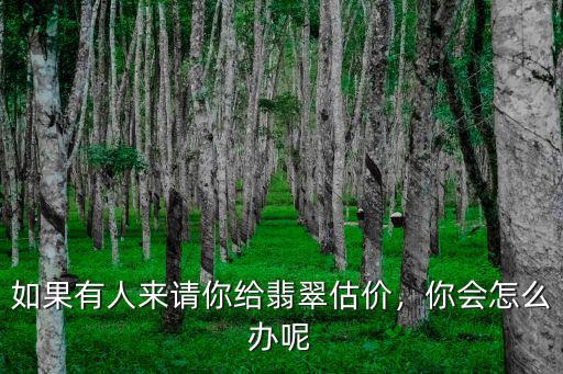 成都哪里可以給翡翠估價,如果有人來請你給翡翠估價