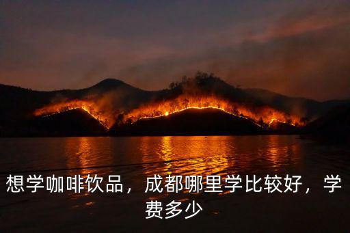 成都哪里可以學做奶茶 咖啡,學奶茶咖啡在哪里學比較好