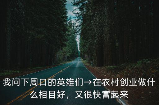 我問下周口的英雄們→在農村創業做什么相目好，又很快富起來