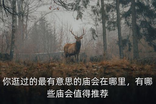 你逛過的最有意思的廟會在哪里，有哪些廟會值得推薦