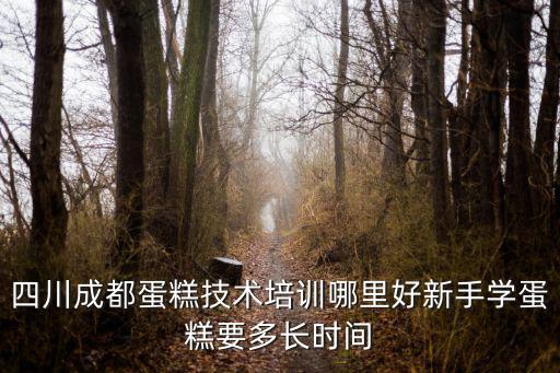 成都做蛋糕哪里好,四川成都蛋糕技術培訓哪里好