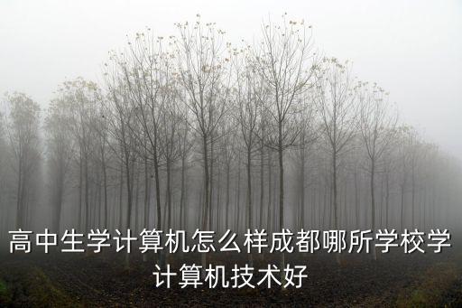 成都學(xué)計(jì)算機(jī)培訓(xùn)哪里比較好,成都哪所學(xué)校學(xué)計(jì)算機(jī)技術(shù)好