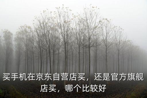 買手機在京東自營店買，還是官方旗艦店買，哪個比較好