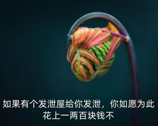 如果有個發(fā)泄屋給你發(fā)泄，你如愿為此花上一兩百塊錢不
