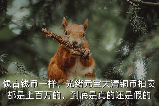 像古錢幣一樣，光緒元寶大清銅幣拍賣都是上百萬的，到底是真的還是假的