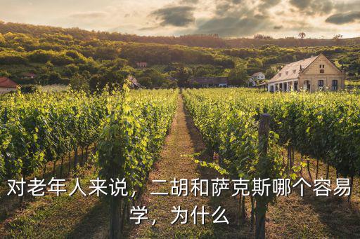 對(duì)老年人來說，二胡和薩克斯哪個(gè)容易學(xué)，為什么