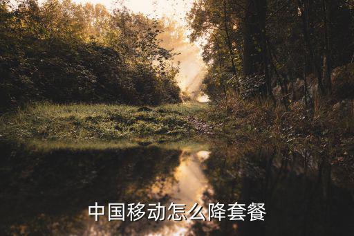許昌移動怎么降低套餐,移動號碼怎么降套餐