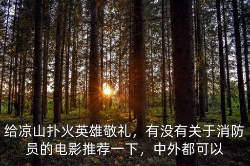涼山撲火英雄是哪里人,撲火隊(duì)員18人犧牲