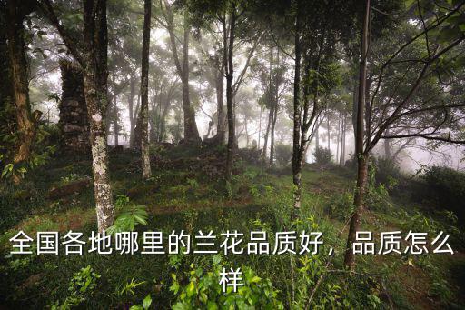 信陽哪里有野生蘭花,信陽毛尖為什么會有蘭花香