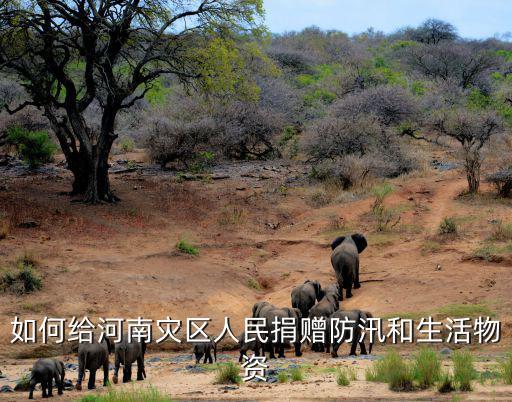 防汛救災馳援河南在哪里捐款,誰在馳援河南