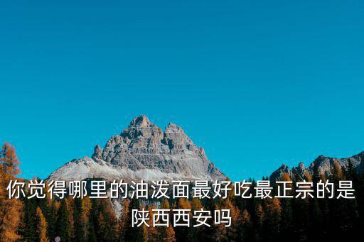 你覺得哪里的油潑面最好吃最正宗的是陜西西安嗎