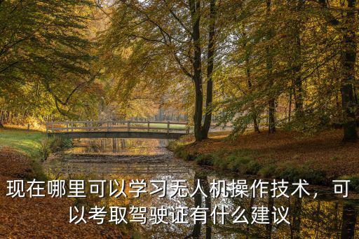 四川哪里可以考取飛機駕駛證,可以考取駕駛證