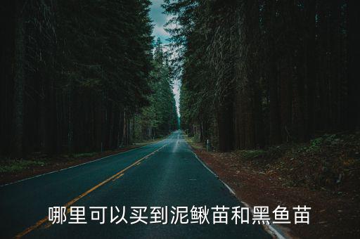 買五斤的泥鰍苗在宜賓哪里買,在哪里可以買到泥鰍苗
