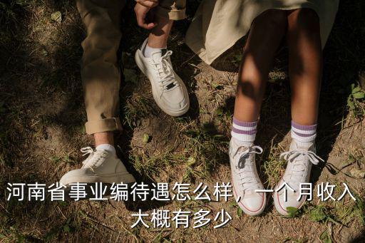 河南省事業編待遇怎么樣，一個月收入大概有多少