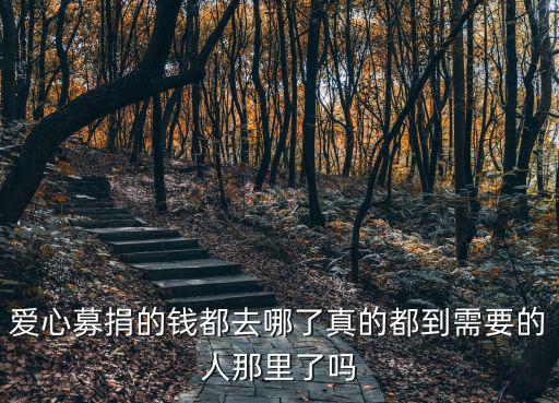 愛心募捐的錢都去哪了真的都到需要的人那里了嗎