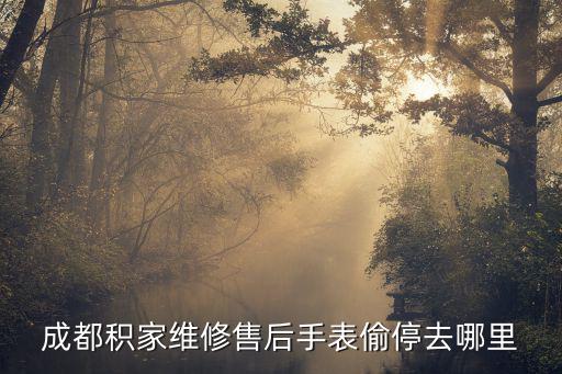 成都鐵達手表售后哪里有,在成都哪里有售后