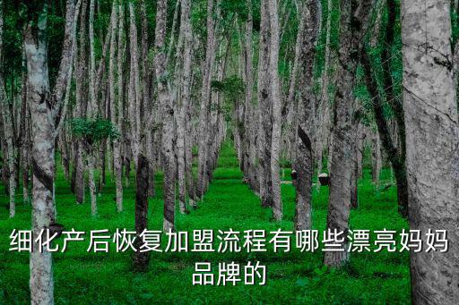 成都哪里有產后恢復加盟,細化產后恢復加盟流程有哪些