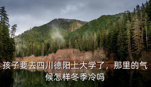 四川德陽哪里雨大,四川德陽有哪些歷史文化名人